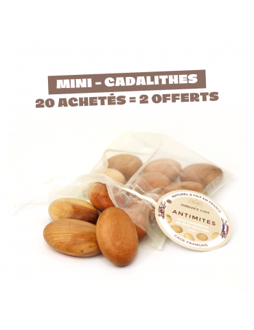 OFFRE 20+2 OFFERTS - Mini...