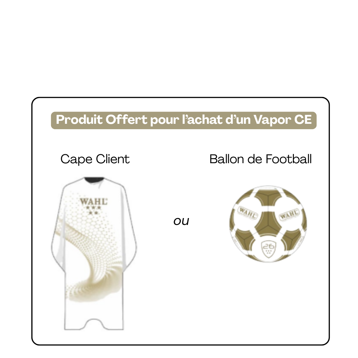 Wahl Vapor CE